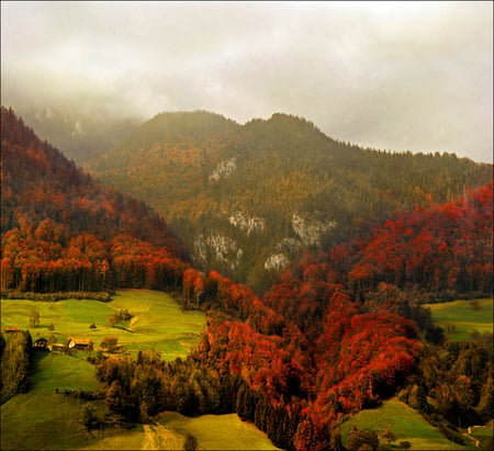 Beauty of the Alps - trees, alps, red, plains, mountains