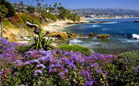 BEACH BLOSSOMS - flowers, beach, hill, coast