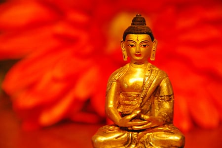 Buddha - red flower, golden buddha, little, statue, still life