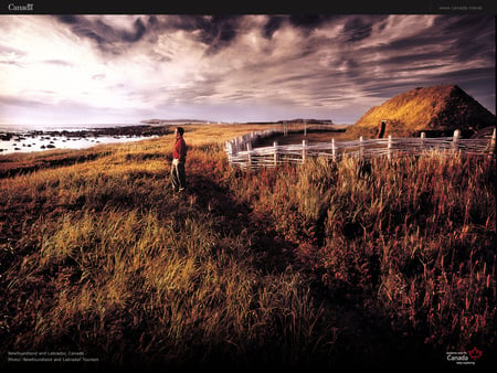 Feeling Free in Labrador - sky, field, person, clouds