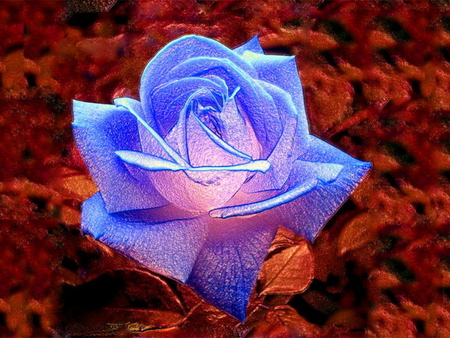 cg rose for my dn friends - lightning, rose, blue, cg