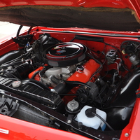 Sweet Bell Pepper '65 Big Block
