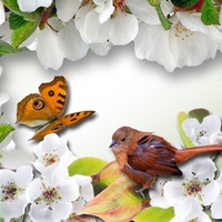 Spring Birds Blossoms and Butterflies