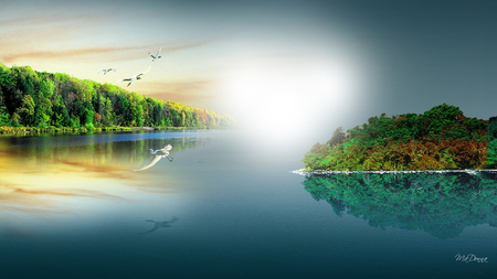 Beginnings of Autumn - sky, ocean, trees, light, water, sunset, bright, reflection, island, firefox persona, sea, birds