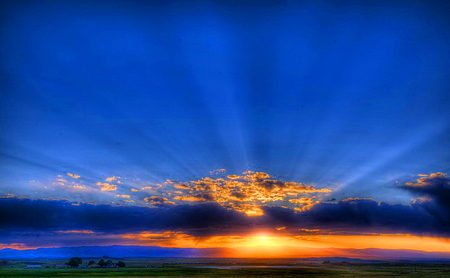 Rays - rays, trees, clouds, blue sky, sunset, gold