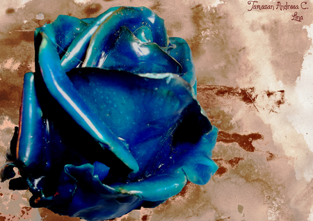 The Blue Rose - ceramic, blue, lina, andreea, rose, ayuzawa