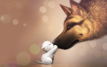 A Kiss - white, shepherd, dog, kitten