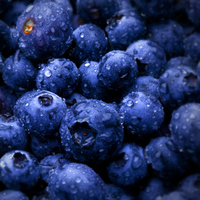 sweet blueberries