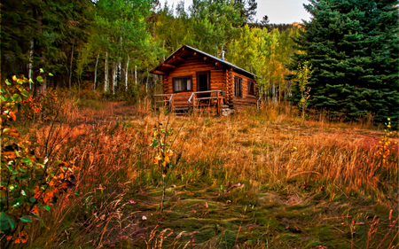 Autumn - pretty, magic, autumn colors, wood, splendor, grass, forest, leaves, view, houses, cottage, sky, woods, house, trees, beautiful, beauty, colors, lovely, architecture, tree, fall, nature, green, autumn, peaceful