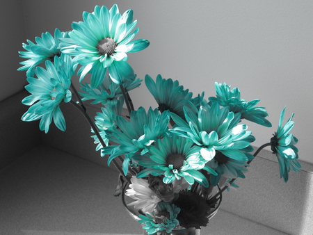 Novel Blue Flowers - novel, flowers, blue, vase