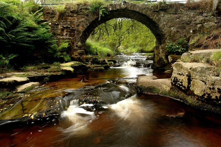 Run River Run - trees, peace, water, rocks, calm, tranquility, green, old, bridge, ferns