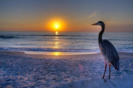 Silence - horizon, water, silence, beauty, colors, ocean, peace, life, nature, waves, solitude, sun