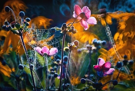 Wallpaper - wild flowers, abstract, photography, wall, colorful, flowers, natural