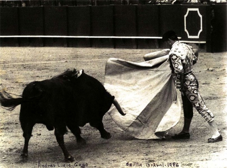 Bull Fighter - fun, people, bull, other