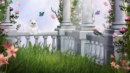 Summer Courtyard - bird, summer, butterflies, spring, grass, firefox persona, cat, flowers, kitten, pillers