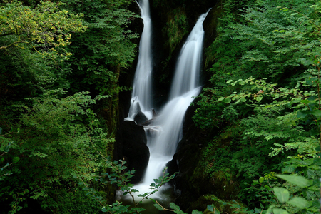 Emerald Falls - trees, water, green, leaves, shrubs, rocks, power