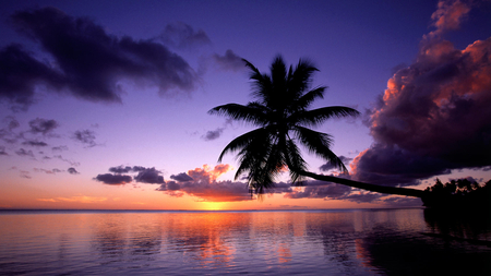 Moorea-French-Polynesia - polynesia, french, picture, beautiful, moorea