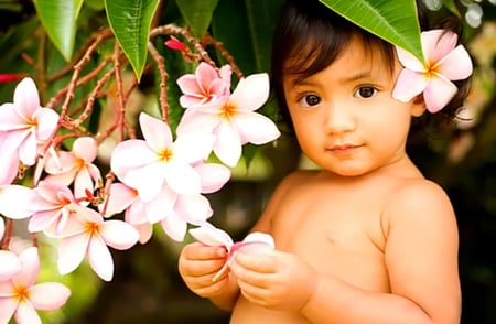 Plumeria Princess - blossoms, keiki, plumeria, hawaiian, baby, child