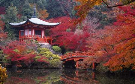 Chinese Autumn - house, colors, trees, autumn