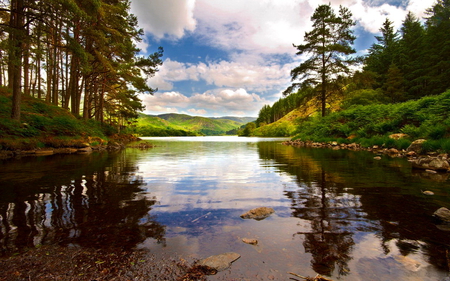 Nice view - clouds, reflections, forest, stones, river, view, plants, nice, mountains, sky