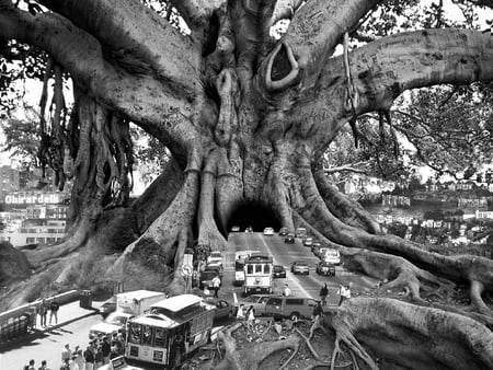 Tourist Trap - abstract, nature, surreal, manipulation