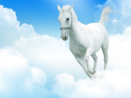 Horse in clouds - cloud, sky, run, horse