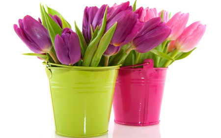 Flowers for sale - petal, fuschia, nature, pink, tulip, bouquet