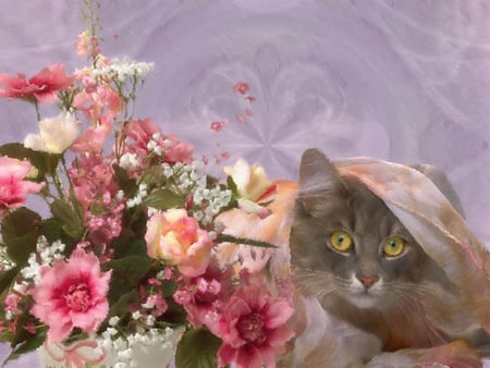 I Feel So Pretty..... - potrait, flowers, pretty, cat