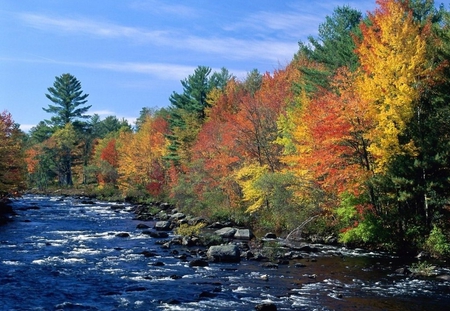 Autumn - nature, autumn, forest, river