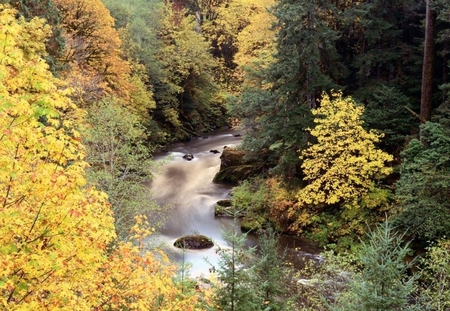 Rivver - nature, autumn, forest, river