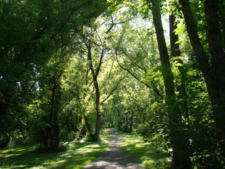 Path - green, canal, path, jordan