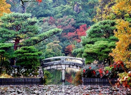 Japanise garden - nature, garden, japanise, other