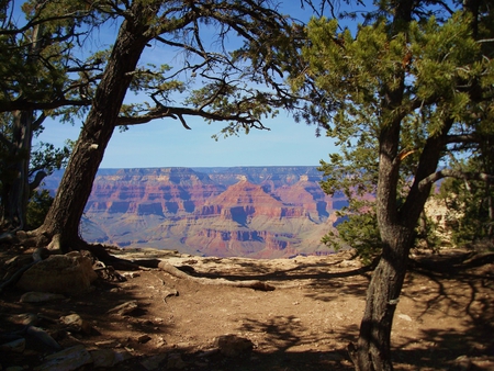 View on Canyon - field, trees, mountains, canyon