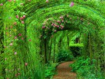 Green tunnel