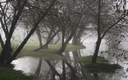 Fog - abstacy, dark, 3d, fog, new