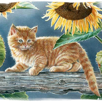 Sally and Sunflowers - Cat F1