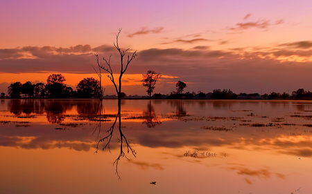 Copper Reflections - sunlight, beautiful, hdr, shimmering, glossy