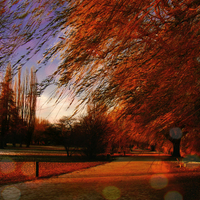 Magical Autumn Dreams