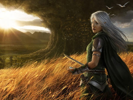 Waking on the Field - women, hay, girl, hair, sun, fantasy, abstract, tall, beautiful, sword, tree, grass, blonde, long