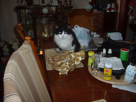 Get Your Own Ribbon - table, cat, ribbon, christmas