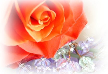 Queen of flowers - beauty, beautiful rose, orange rose, stones, sparkles, rose, flower