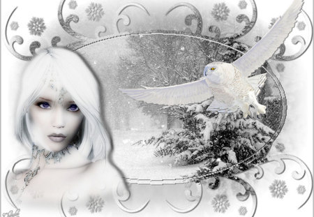 Winter Beauty - owl, white, winter, white owl, snow, beauty