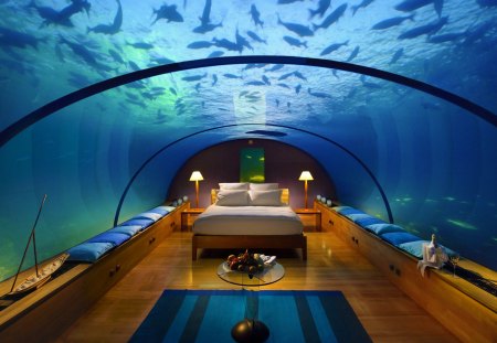 Underwater Bedroom - pretty, blue, amazing, stunning, bed, dreaming, nice, place, sleeping, water, sharks, beautiful, sea, bedroom, architecture, ocean, wonderful, awesome, modern, underwater, fish