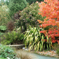 Fall colours bridge