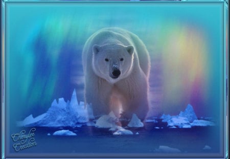 Polar Aurora - ice, rainbow, bear, blue, polar bear, water, aurora, polar