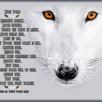 Wolf Poem