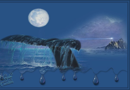 In The Moonlight - moon, whale, water, ocean, moonlight