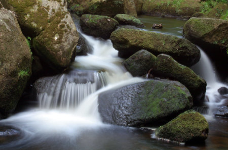 Gentle, Tiny Brook - nature, tiny, stream, rock, gentle, waterfall, brook