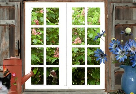 Whose Looking at Who - window, cat, summer, tree, flowers, bird, rustic