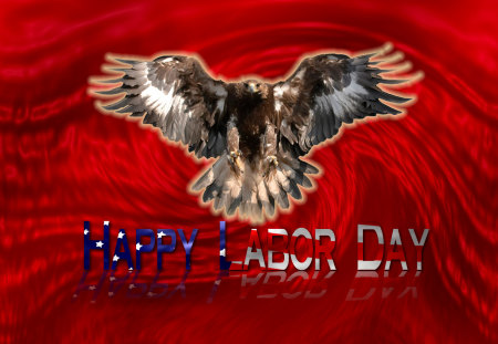 Labor Day Eagle - white, red, eagle, labor day, blue